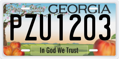 GA license plate PZU1203