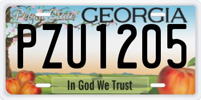 GA license plate PZU1205