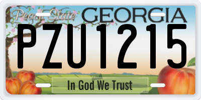 GA license plate PZU1215