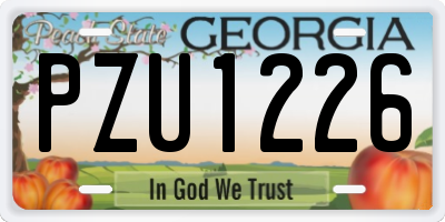 GA license plate PZU1226