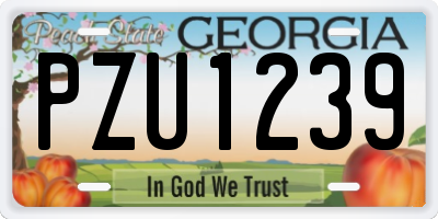 GA license plate PZU1239