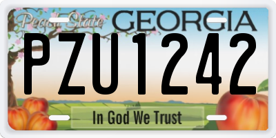 GA license plate PZU1242
