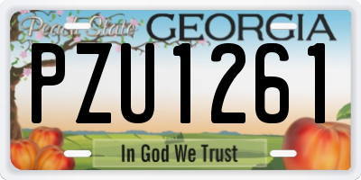 GA license plate PZU1261