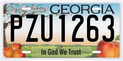 GA license plate PZU1263