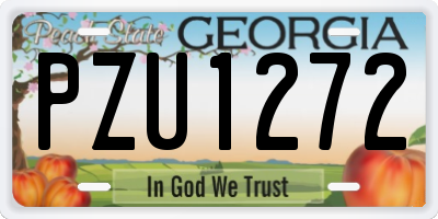 GA license plate PZU1272
