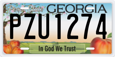 GA license plate PZU1274