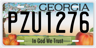 GA license plate PZU1276