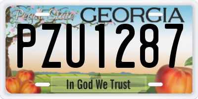 GA license plate PZU1287