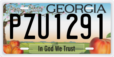 GA license plate PZU1291