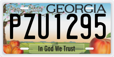 GA license plate PZU1295