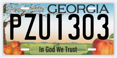 GA license plate PZU1303