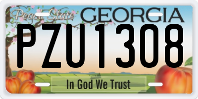 GA license plate PZU1308