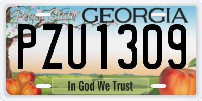 GA license plate PZU1309