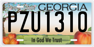 GA license plate PZU1310