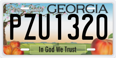 GA license plate PZU1320
