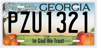 GA license plate PZU1321