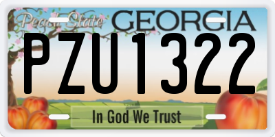 GA license plate PZU1322