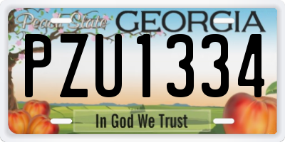 GA license plate PZU1334
