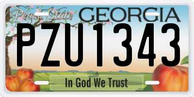 GA license plate PZU1343