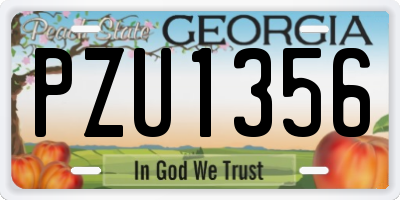 GA license plate PZU1356