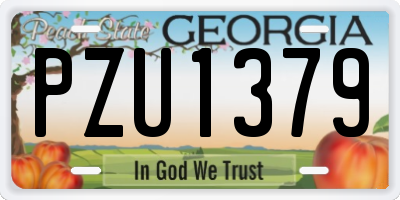 GA license plate PZU1379