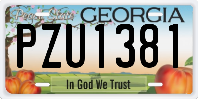 GA license plate PZU1381
