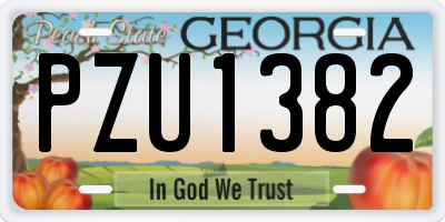 GA license plate PZU1382