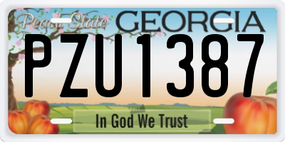 GA license plate PZU1387