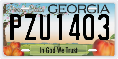 GA license plate PZU1403