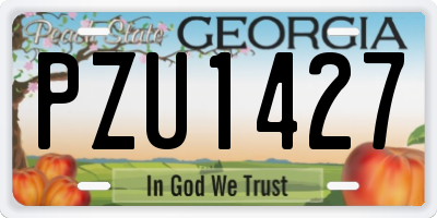 GA license plate PZU1427