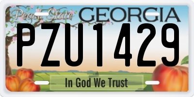 GA license plate PZU1429