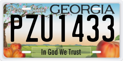 GA license plate PZU1433