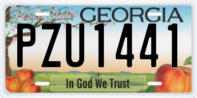 GA license plate PZU1441