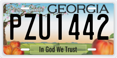 GA license plate PZU1442