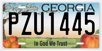 GA license plate PZU1445