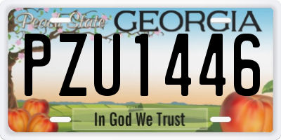 GA license plate PZU1446