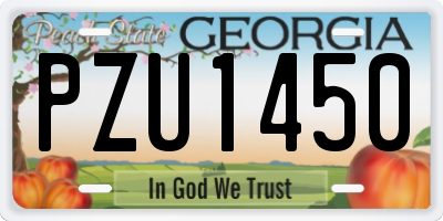 GA license plate PZU1450