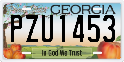 GA license plate PZU1453