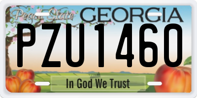 GA license plate PZU1460