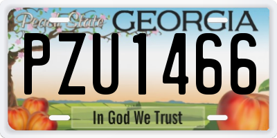 GA license plate PZU1466