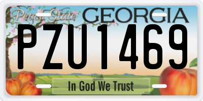 GA license plate PZU1469