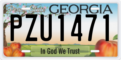 GA license plate PZU1471