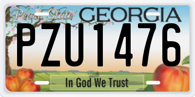 GA license plate PZU1476