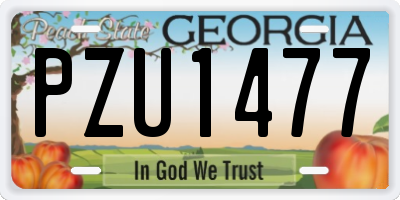 GA license plate PZU1477