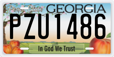 GA license plate PZU1486