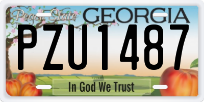 GA license plate PZU1487