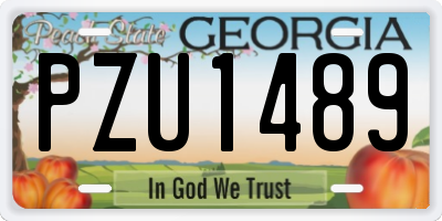 GA license plate PZU1489