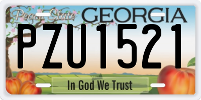 GA license plate PZU1521