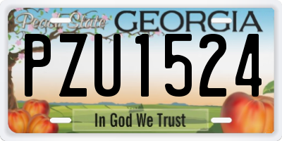 GA license plate PZU1524