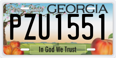 GA license plate PZU1551
